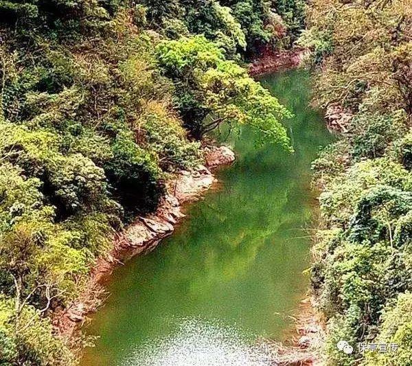 驿家党团助力，情满归家旅途